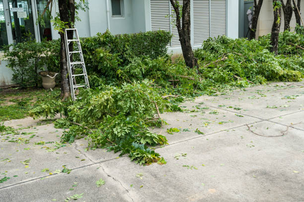 Best Arborist Consultation Services  in Flagtown, NJ